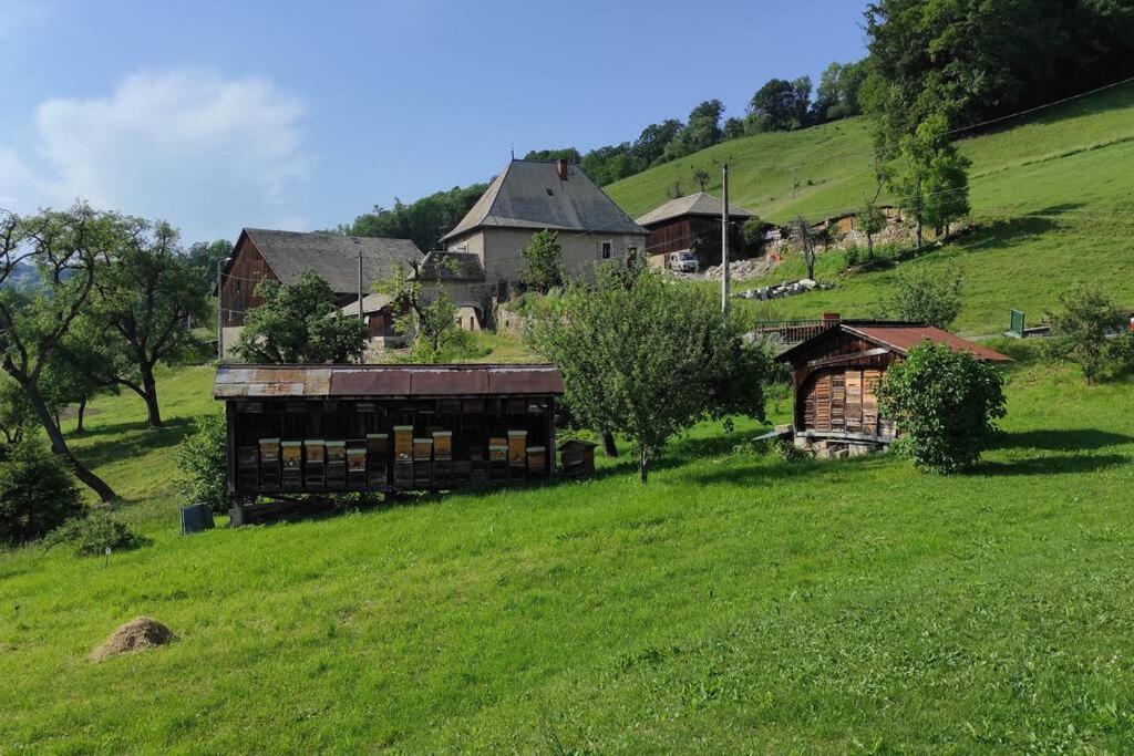 L'Echappee Belle En Montagne - Site Location-Chalet Mieussy Kültér fotó