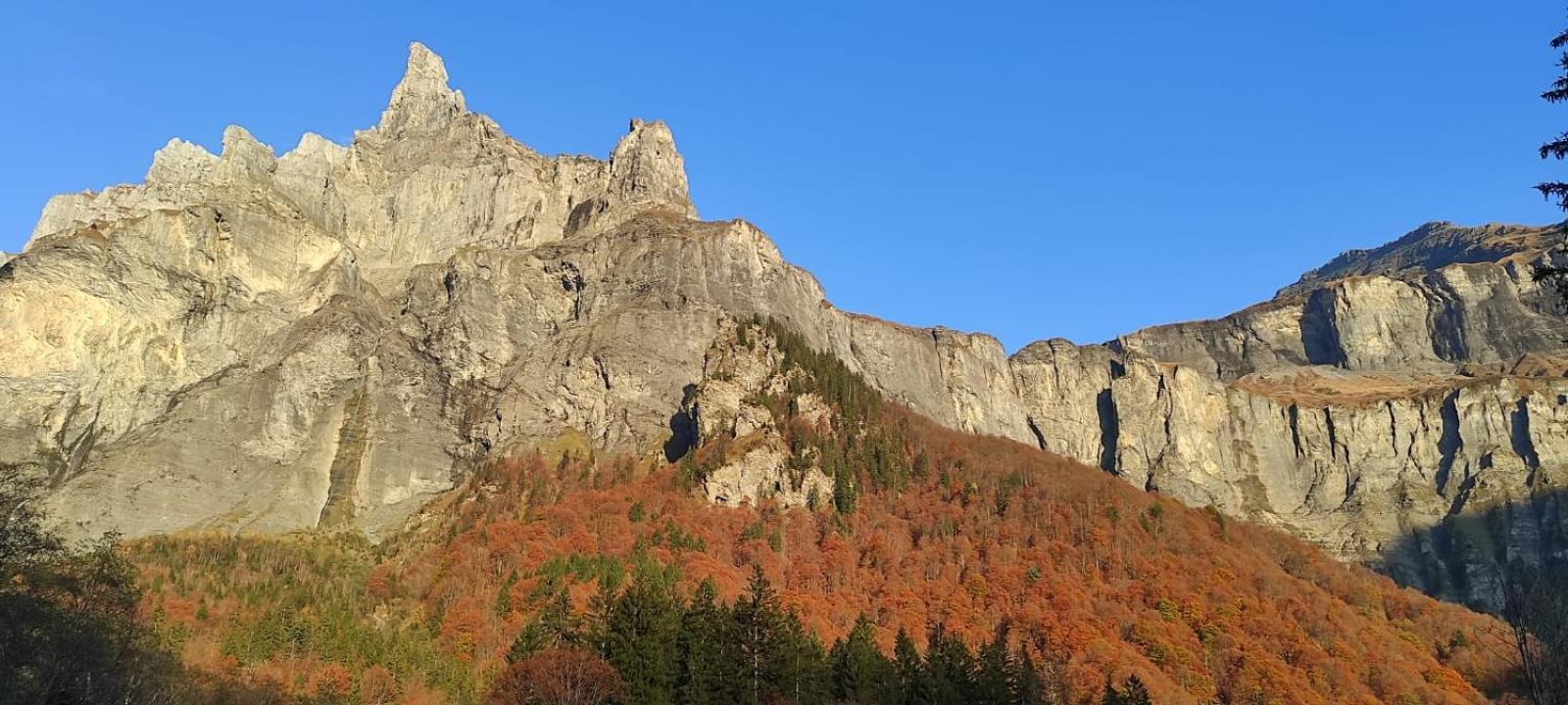 L'Echappee Belle En Montagne - Site Location-Chalet Mieussy Kültér fotó